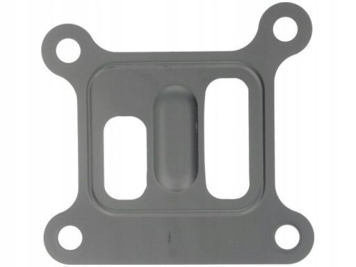 Uszczelka Pompy Cieczy Chłodzącej 027.831