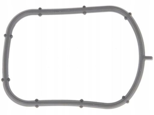 Uszczelka Kolektora Dolotowego 907.470