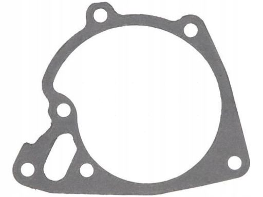 Uszczelka Pompy Cieczy Chłodzącej 908.000