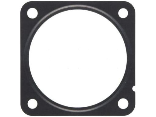 Uszczelka Rury Kolektora Dolotowego 996.610