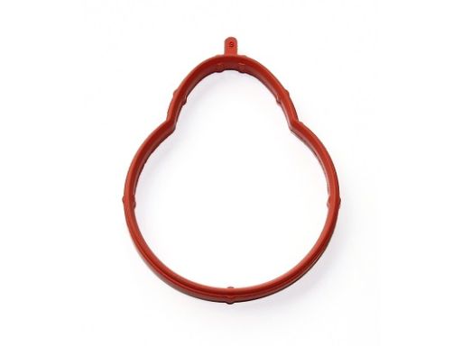 Uszczelka Kolektora Dolotowego 359.370