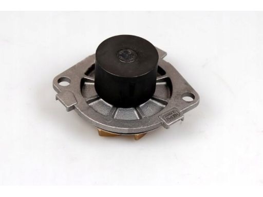 Pompa Cieczy Chłodzącej P1053