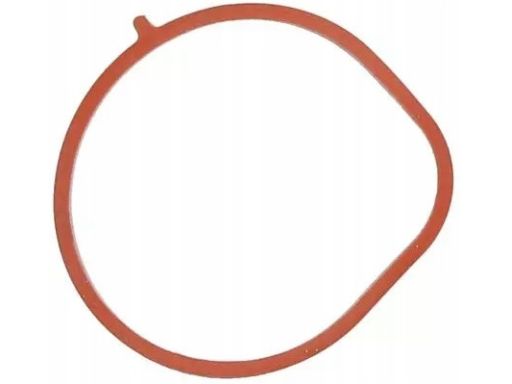 Uszczelka Kolektora Dolotowego 445.220