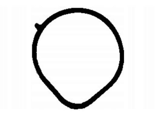 Uszczelka Kolektora Dolotowego 445.220