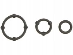 Uszczelka Pompy Oleju 483.650