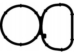 Uszczelka Kolektora Dolotowego 529.960