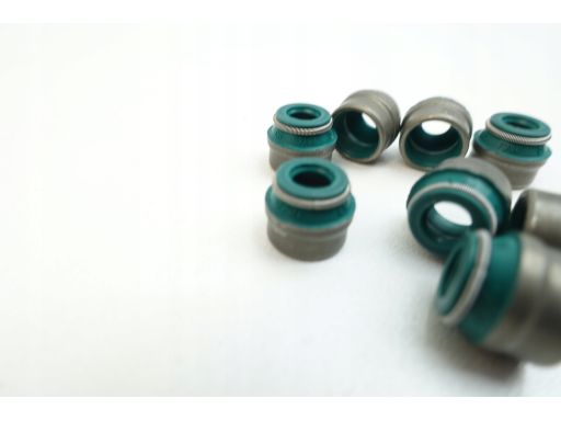 Uszczelniacz Trzonka Zaworu 403.730