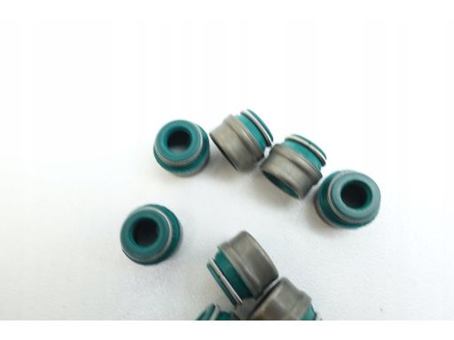 Uszczelniacz Trzonka Zaworu 403.730