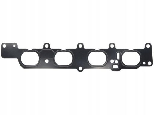 Uszczelka Kolektora Dolotowego 875.490