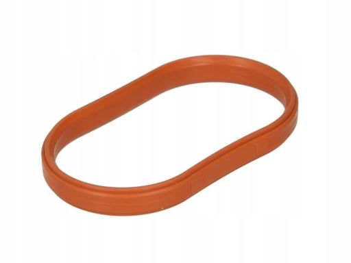 Uszczelka Kolektora Dolotowego 888.524