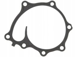 Uszczelka Pompy Cieczy Chłodzącej 925.200