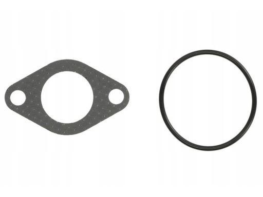 Zestaw Uszczelek Systemu Agr 934.810