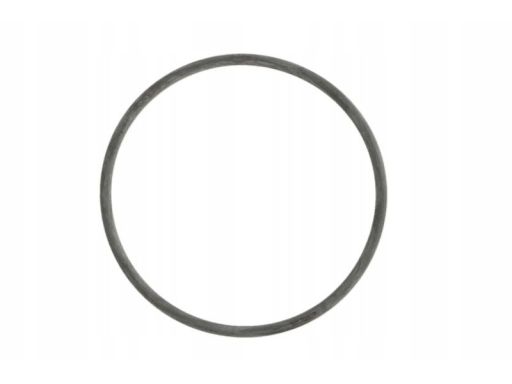 Uszczelka Pompy Cieczy Chłodzącej 982.380