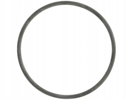 Uszczelka Pompy Cieczy Chłodzącej 982.380