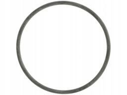 Uszczelka Pompy Cieczy Chłodzącej 982.380