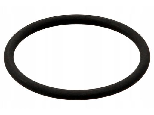 Pierścień Uszcz., Elast. Przewód Pow. Do 470.620