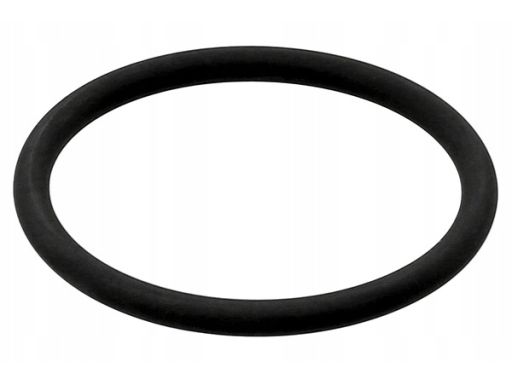 Uszczelka Turbosprężarki 573.290