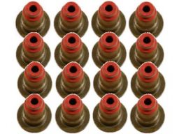 Zestaw Uszczelniaczy Trzonka Zaworów 199.440