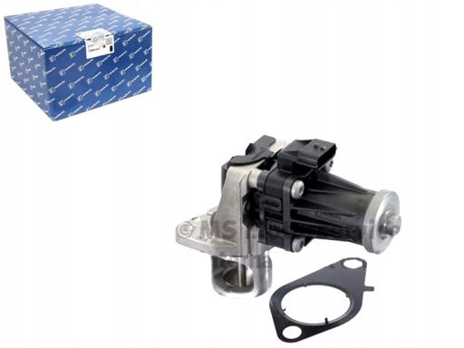 Zawór Egr 7.03435.05.0