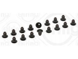 Zestaw Uszczelniaczy Trzonka Zaworów 747.210