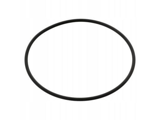 04745 Uszczelka Pompy Cieczy Chłodzącej Fe04745 Febi