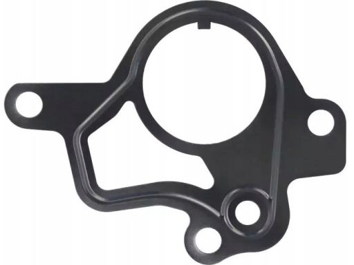 Uszczelka Pompy Podciśnieniowej 840.260