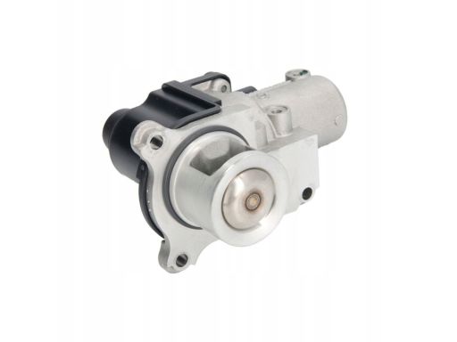 Zawór Egr 7.00907.03.0