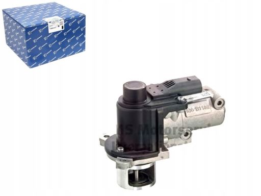 Zawór Egr 7.00907.03.0