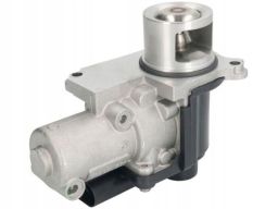 Zawór Egr 7.00907.03.0