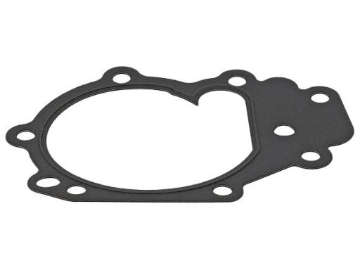 Uszczelka Pompy Cieczy Chłodzącej 875.390