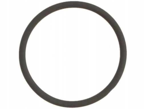 Uszczelnienie Zaworu Egr 889.960