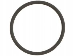 Uszczelnienie Zaworu Egr 889.960