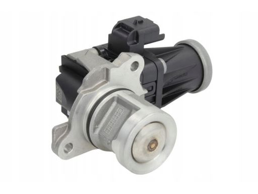 Zawór Egr 7.02209.20.0