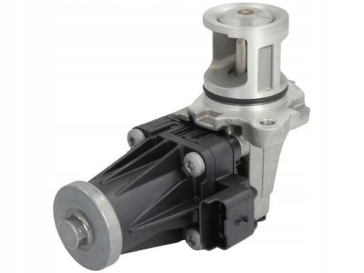 Zawór Egr 7.02209.20.0