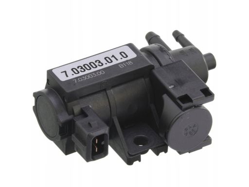 Elektrozawór Sterujący Turbosprężarki 7.03003.01.0