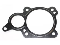 Uszczelnienie Zaworu Egr 808.681