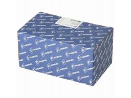 Sterownik Pompy Paliwa 7.07796.00.0