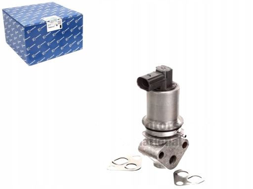 Zawór Egr 7.22785.16.0