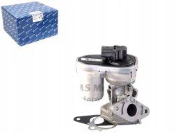 Zawór Egr 7.24809.70.0