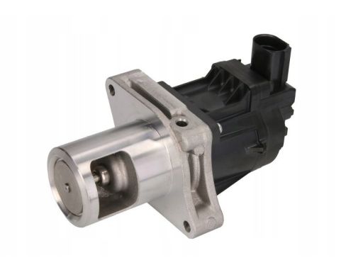 Zawór Egr 7.24809.81.0