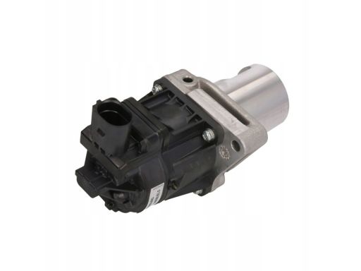 Zawór Egr 7.24809.81.0