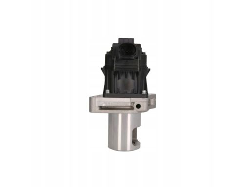 Zawór Egr 7.24809.81.0