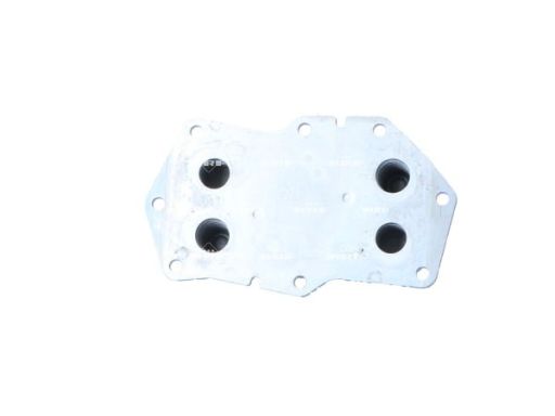 31854 Chłodnica Oleju Nrf 31854 Nrf