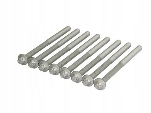 14-32215-01 Zestaw Śrub Głowicy Cylindrów 14-32215-01 Reinz