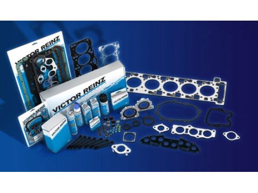 14-32305-01 Zestaw Śrub Głowicy Cylindrów 14-32305-01 Reinz