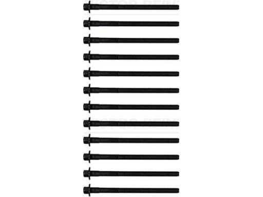 14-32305-01 Zestaw Śrub Głowicy Cylindrów 14-32305-01 Reinz