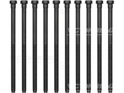 14-32384-01 Zestaw Śrub Głowicy Cylindrów 14-32384-01 Reinz