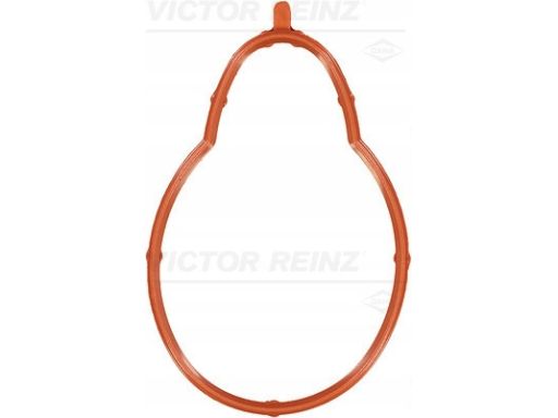 71-33179-00 Uszczelka Kolektora Dolotowego 71-33179-00 Reinz