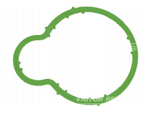 71-36064-00 Uszczelka Kolektora Dolotowego 71-36064-00 Reinz