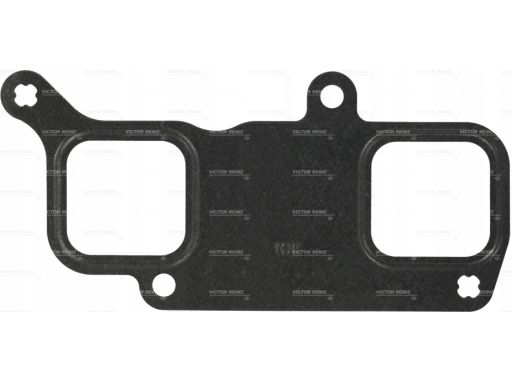 71-36138-00 Uszczelka Kolektora Dolotowego 71-36138-00 Reinz